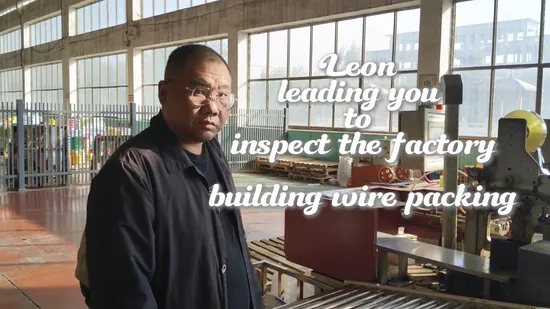 BVV Rvv RV IEC05 H05V