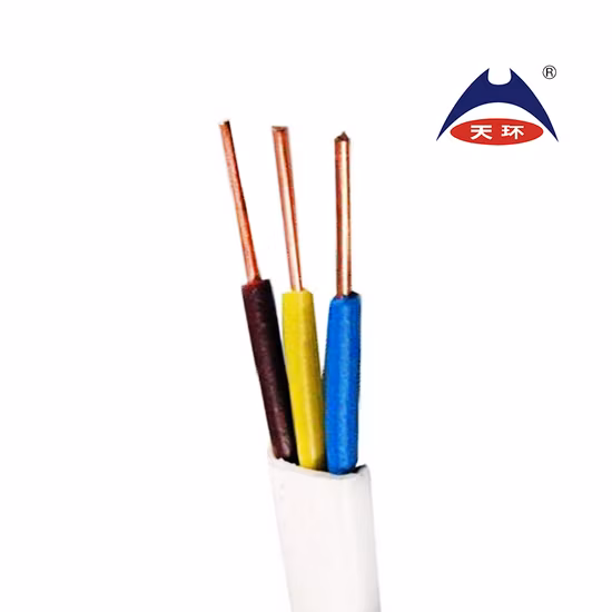 전선 BV 와이어 BVV 와이어 단일 와이어 단일 케이블 전원 케이블 RV Rvv 케이블 구리 유연한 케이블 전선